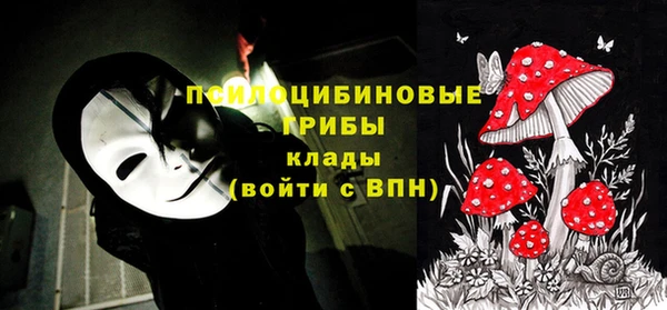 спайс Елабуга