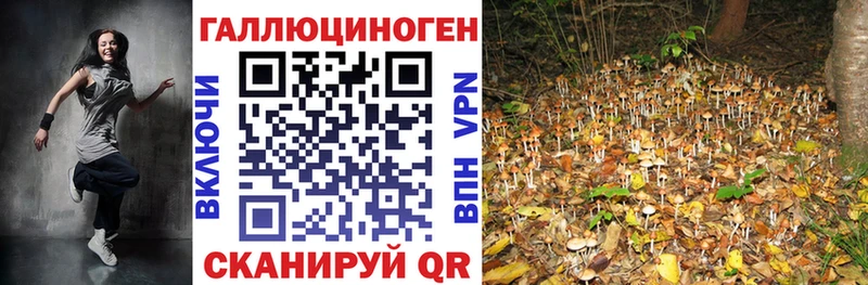 купить наркоту Ядрин Галлюциногенные грибы Magic Shrooms